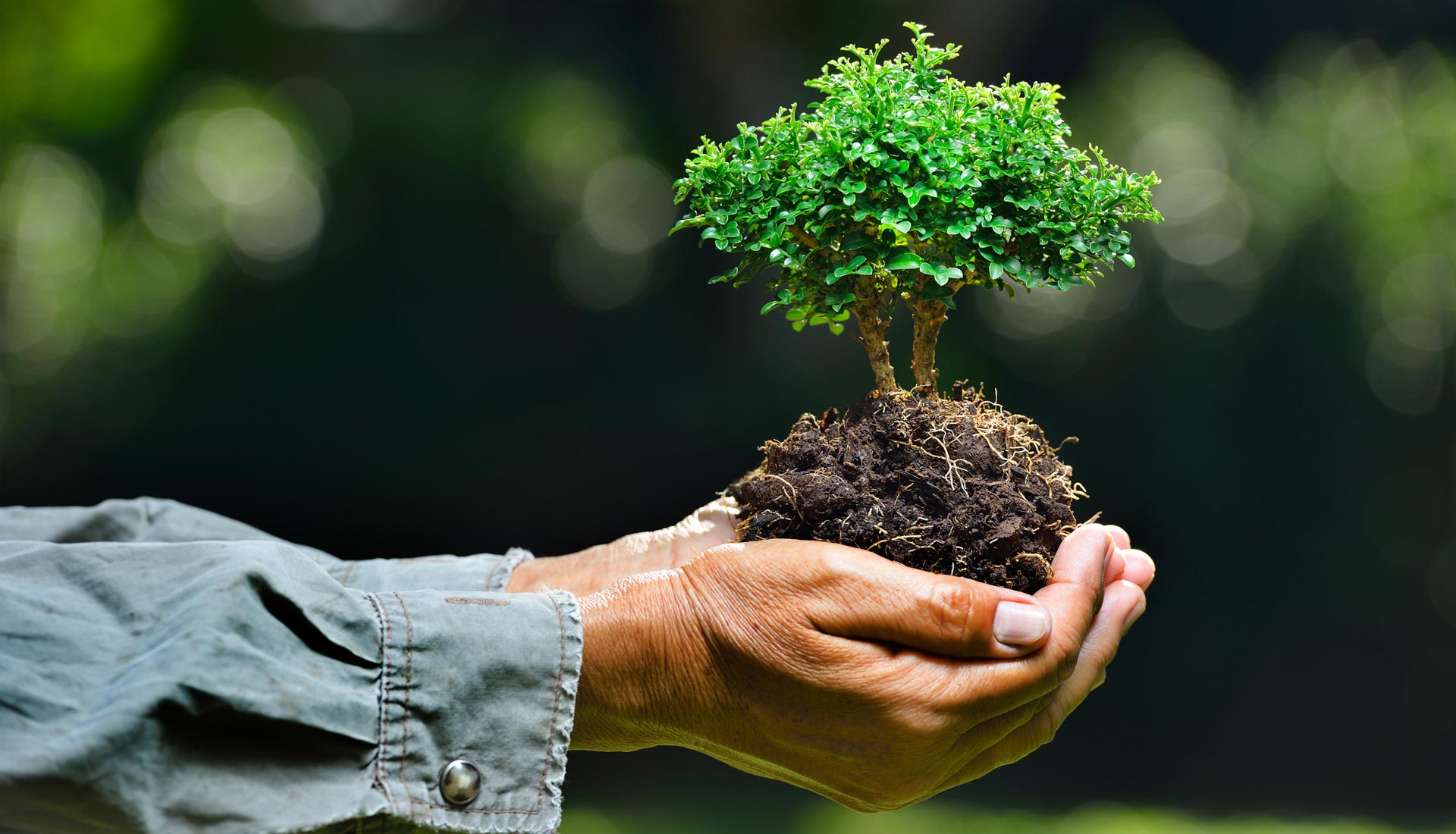 comprometidos-medio-ambiente